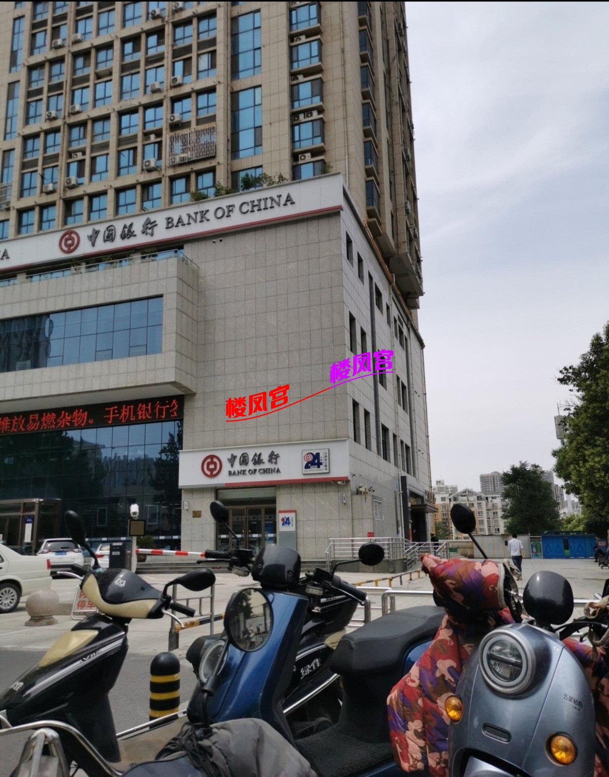 Image_1718023156374.jpg