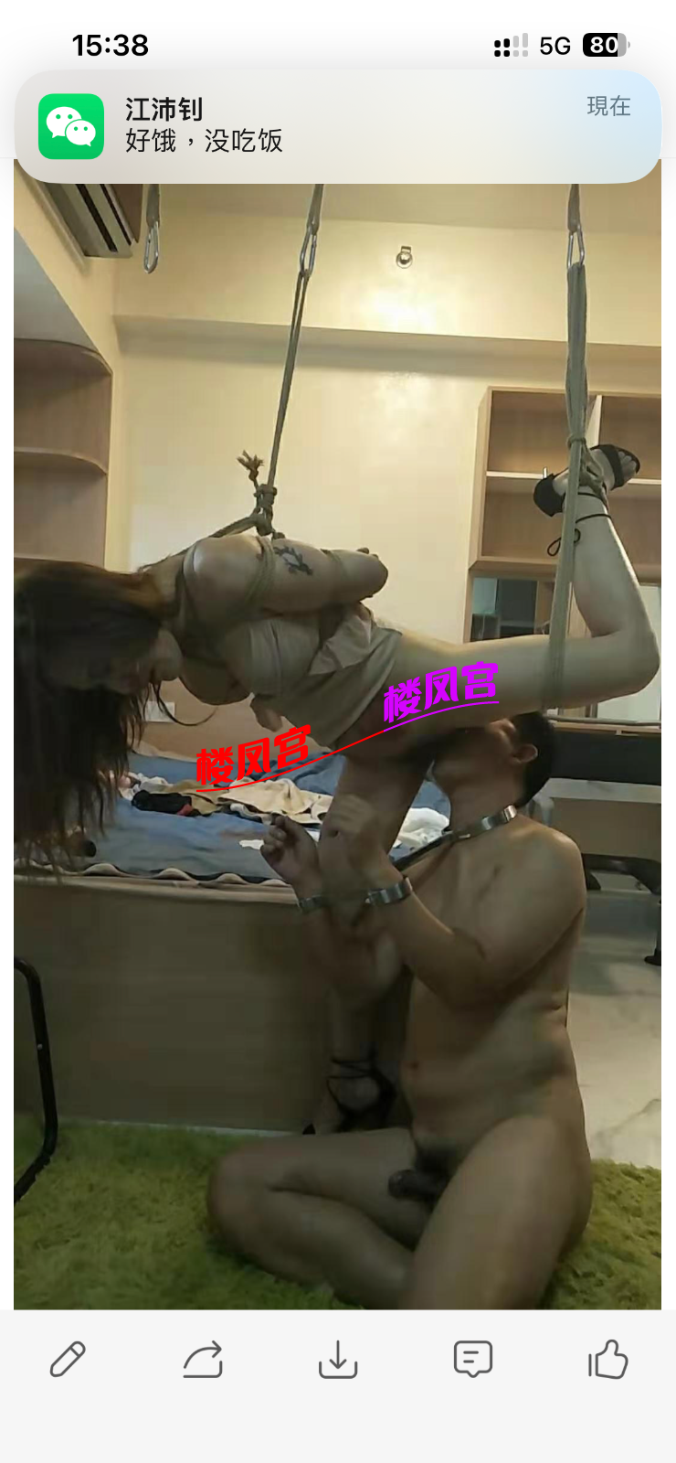 IMG_0618.png