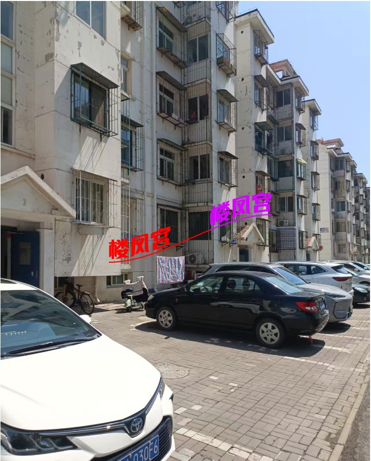 mmexport1750299984616.jpg