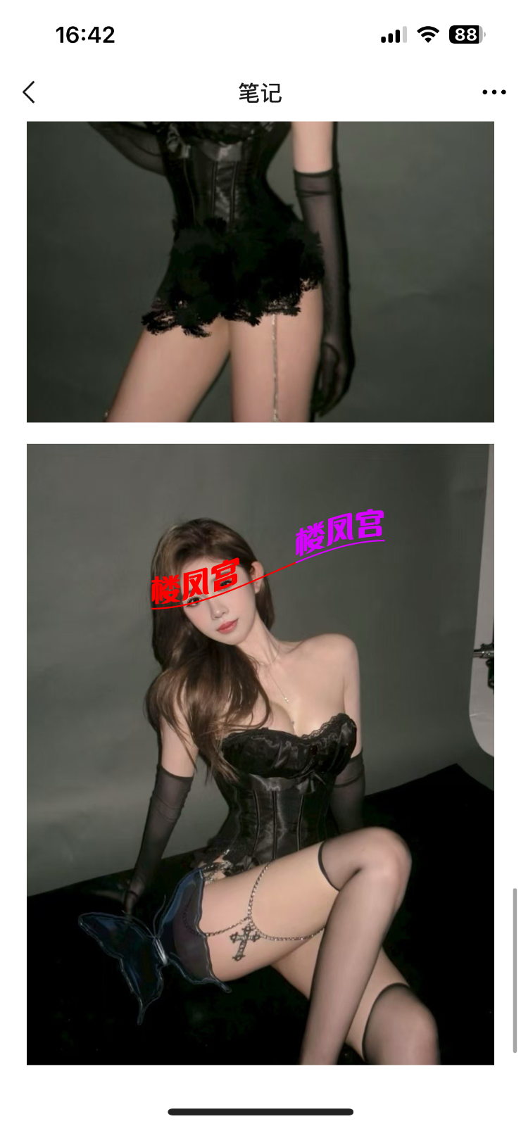 IMG_4828.png