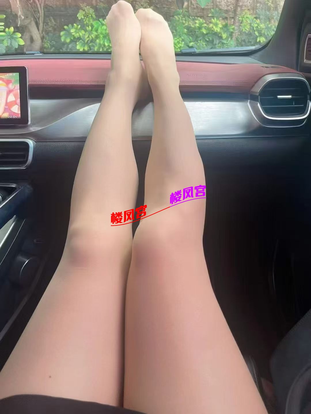 1000252950.jpg