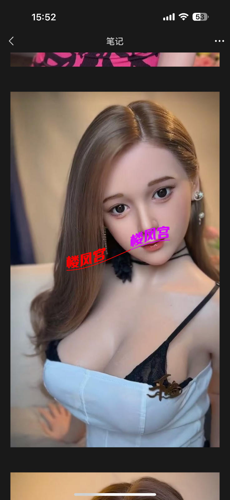 IMG_1221.png